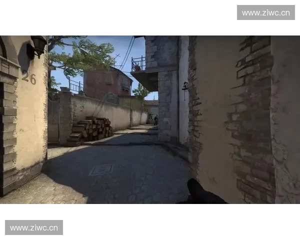 《精美CSGO壁纸大全：展示游戏精彩瞬间与震撼视觉效果》