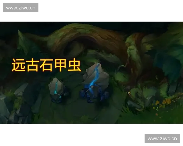 LOL网五演员背后的真相揭露从默默无闻到全网热议的传奇故事